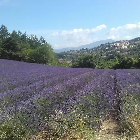 Le Petit Ventoux Guest house Malaucene